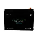 230Ah LiFePO4 Battery with Bluetooth & Heating FOX12V-230AH